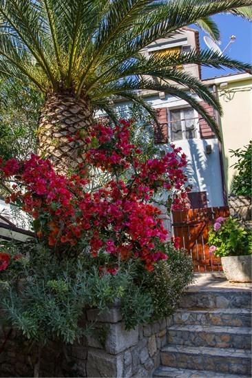 Apartment Julia Veli Lošinj Exteriér fotografie